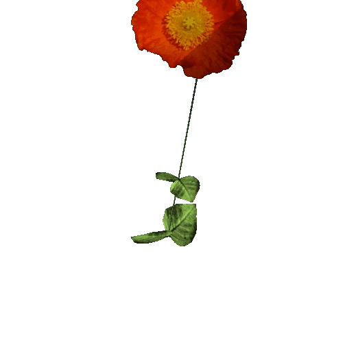 RedPoppy(tree editor)